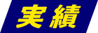 実績